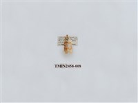 藏品(三斑叉紋苔蛾)的圖片